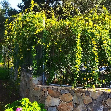 度假居 Anna's Garden House 干尼亞
